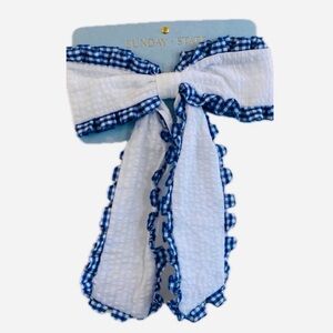 NWT ⚜️💙⚜️ Sunday State Bow Hair Clip